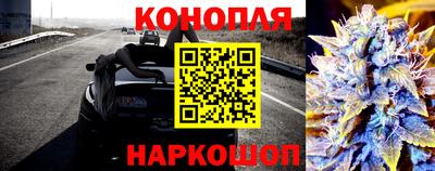 СК Будённовск