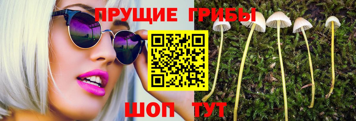 Кохма  Псилоцибиновые грибы MAGIC MUSHROOMS  Вход с VPN  Галлюциногенные грибы мицелий 